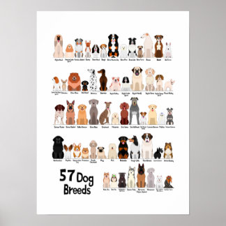 57 Hunde-Zuchtposter Poster