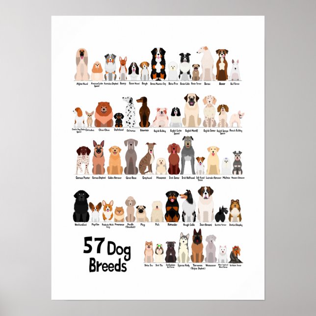 57 Hunde-Zuchtposter Poster (Vorne)