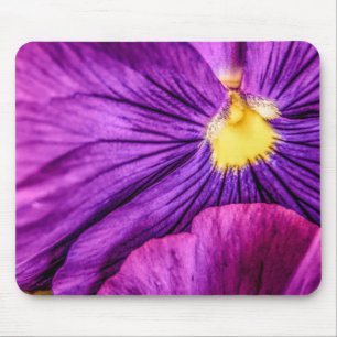 5884-Lila Pansy Mousepad