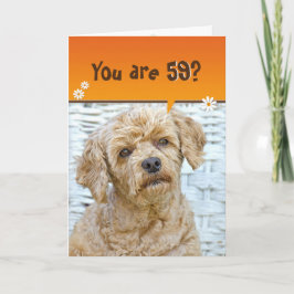 59. Geburtstag braunes Poodle auf Weide Karte