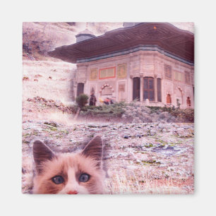 5,1 cm Square Magnet Cat