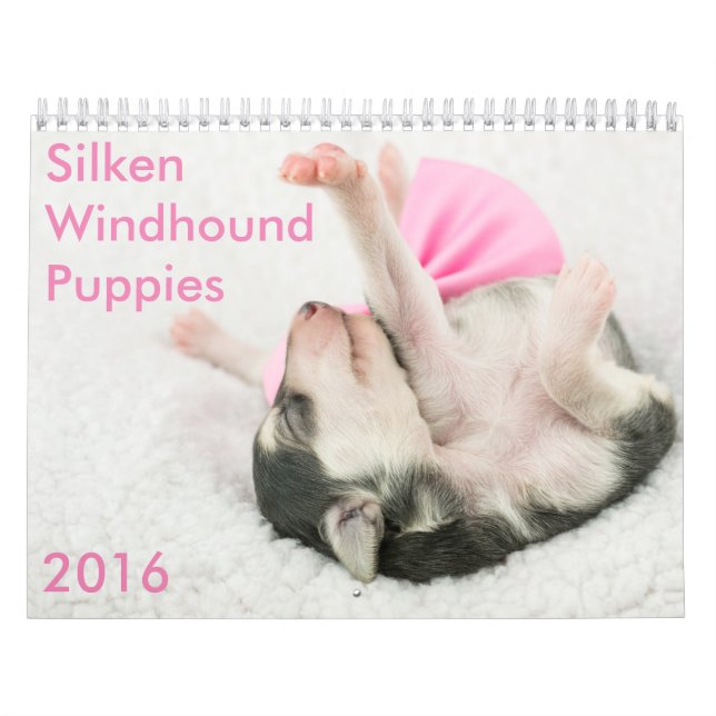 5 2016 seidener Windhound Welpen-Kalender Kalender (Titelbild)