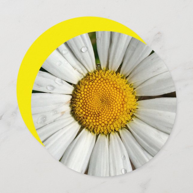 5.25 x 5.25 Einladungskreis Einladung (Vorne/Hinten)