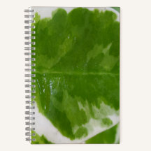 5,5" x 8,5" SpiralNotebook für Ideen und Hinweise