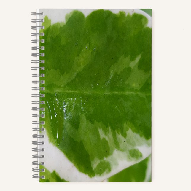 5,5" x 8,5" SpiralNotebook für Ideen und Hinweise Notizbuch (Vorderseite)