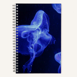 5,5" x 8,5" SpiralNoteboot Notizbuch