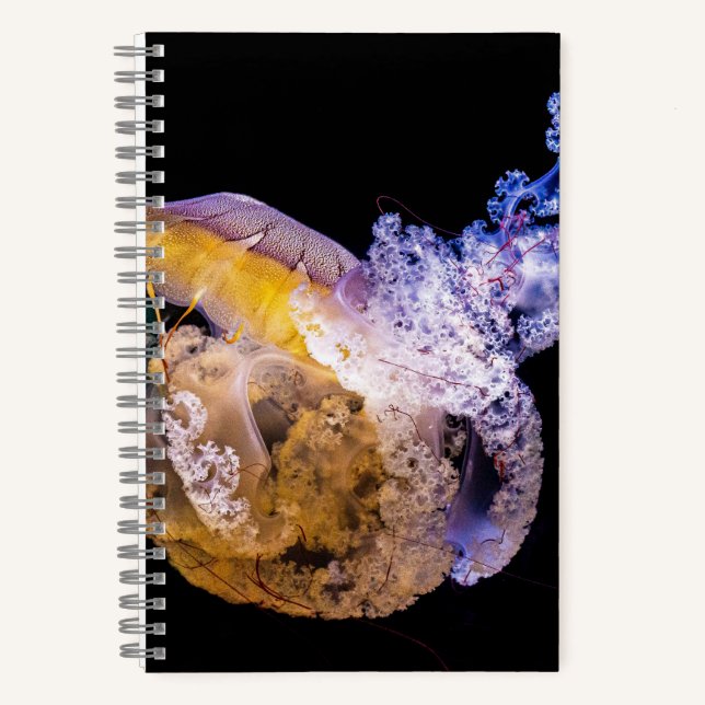 5,5" x 8,5" SpiralNoteboot Notizbuch (Vorderseite)