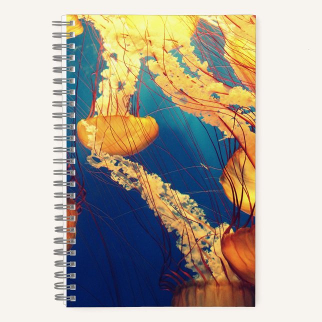 5,5" x 8,5" SpiralNoteboot Notizbuch (Vorderseite)