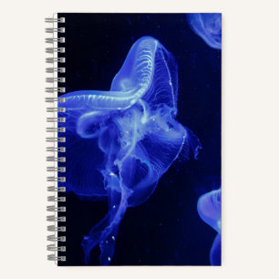 5,5" x 8,5" Spiralnotizbuch Notizbuch