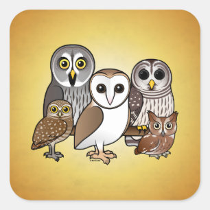 5 Birdorable Owls Quadratischer Aufkleber