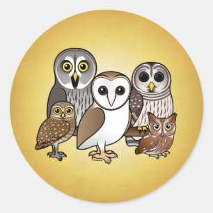 5 Birdorable Owls Runder Aufkleber