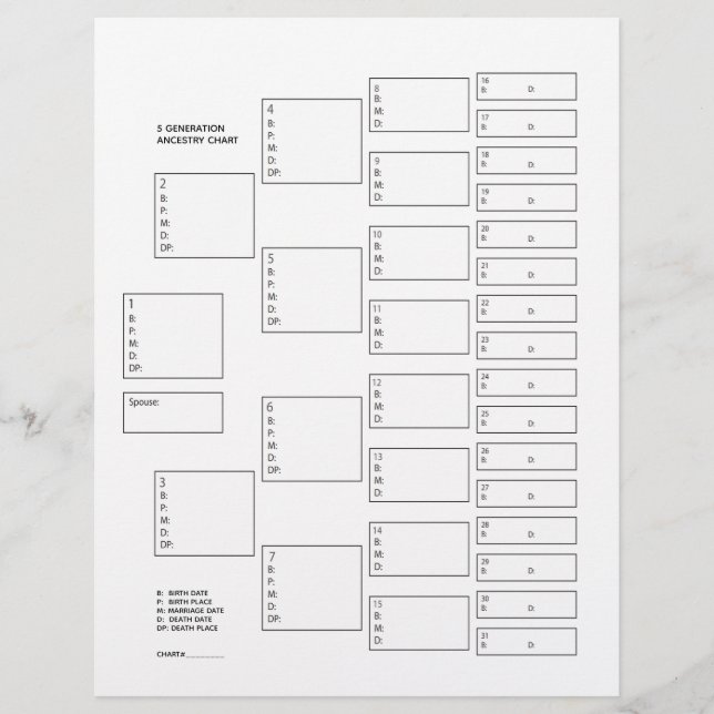 5 Generation Genealogie Pedigree Paper Sheet (Vorderseite)