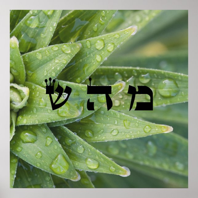 5 Heilung - 72 Namen Gottes Poster (Vorne)