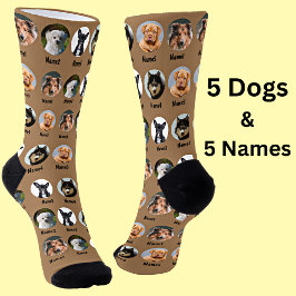 5 Hunde, 5 Namen, Hunde Foto - Personalisiert brau Socken