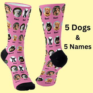 5 Hunde, 5 Namen, Hunde Foto - Personalisiert rosa Socken