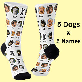 5 Hunde, 5 Namen, Hunde Foto - Personalisiert weiß Socken