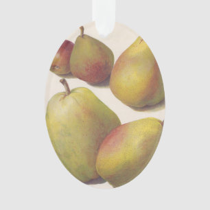5 illustrierte Vintage-Birnen Ornament