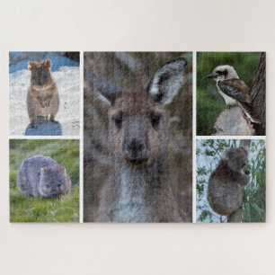 5-in-1 Tiere aus Australien, 1014 Stück Puzzle
