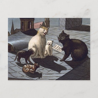 5 Katzen mit nachts auf einem Dach sängerischer Mu Postkarte