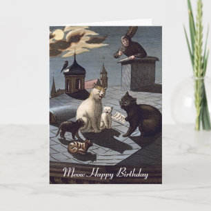 5 Katzen singen auf einem Dach in einer Geburtstag Karte