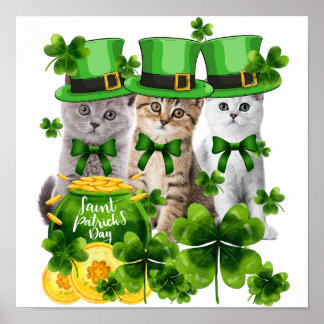 5 Kitty Kitten Liebhaber-Geschenk - Drei Katzen Pa Poster