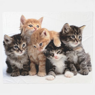 5 KLEINE KITTEN FLEECEDECKE