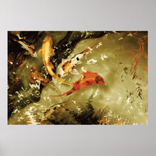 5 kois in einem Teich - Giant Koi Poster