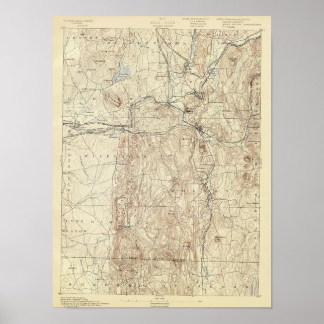 5 Palmer-Blatt Poster (Vorne)