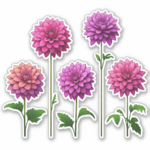 5 Pink - Purpur Dahlie (hell) Aufkleber