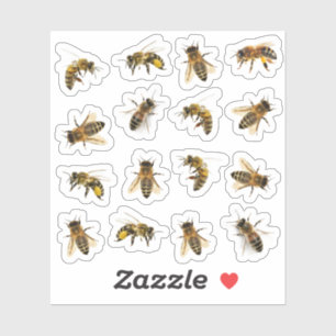 5 realistische Honigbienen auf 16 Vinyl Stickers Aufkleber