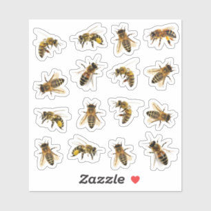 5 realistische Honigbienen auf 16 Vinyl Stickers Aufkleber