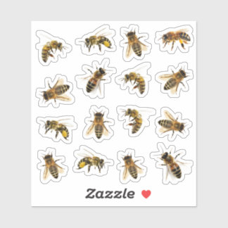 5 realistische Honigbienen auf 16 Vinyl Stickers Aufkleber