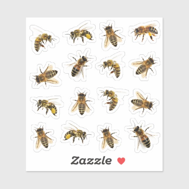 5 realistische Honigbienen auf 16 Vinyl Stickers Aufkleber (Blatt)
