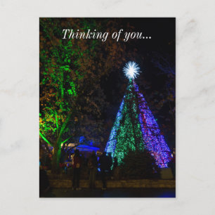 5 Story SDC Tree Night Postkarte