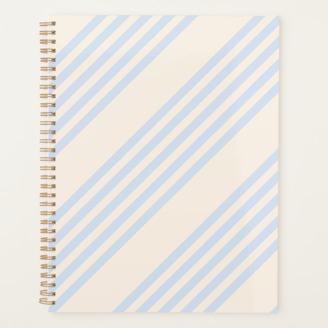 5 Streifen in hellblau und beige Planer (Vorderseite)