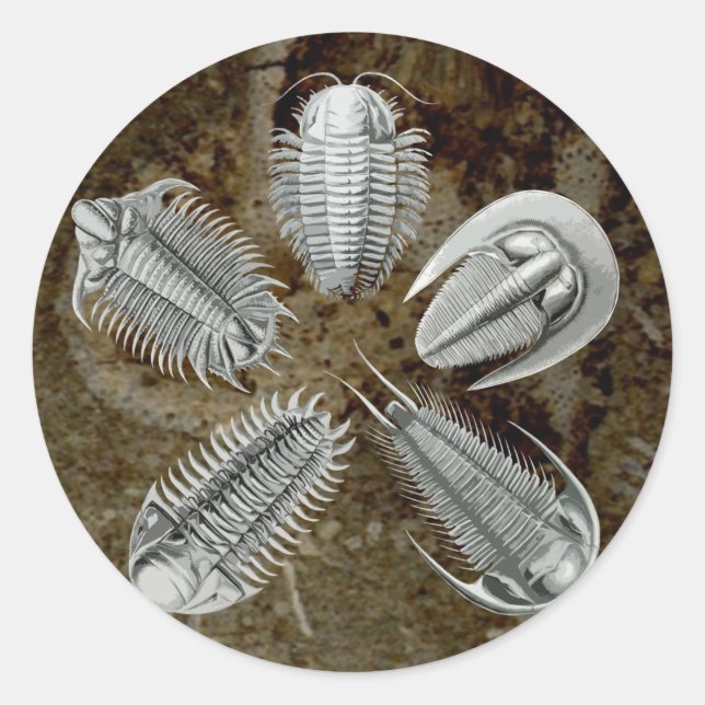 5 Trilobites Aufkleber (Vorderseite)