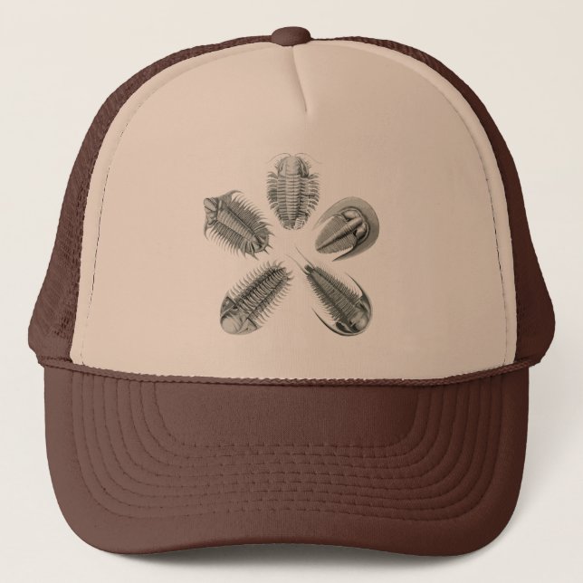 5 Trilobites Hut Truckerkappe (Vorderseite)