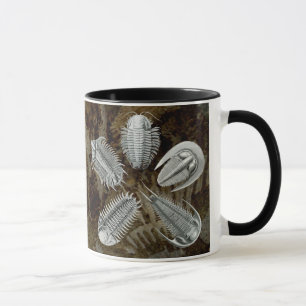 5 Trilobites Tasse