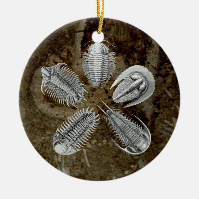 5 Trilobites Verzierung Keramik Ornament (Vorne)