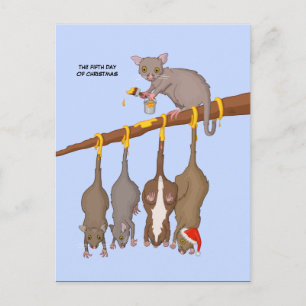 5. Weihnachtsfeiertag (5 Goldene Ringe) Postkarte