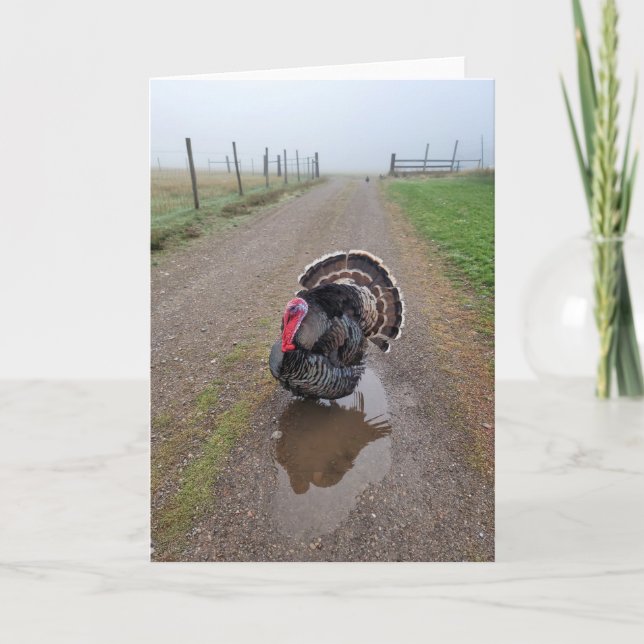 5"x7" Faltkarte | Die Türkei im Nebel Karte (Vorderseite)