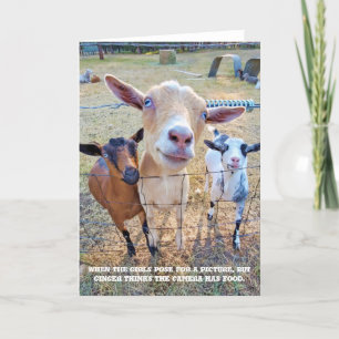 5"x7" Faltkarte   Lebensmittelschwerpunkt Karte