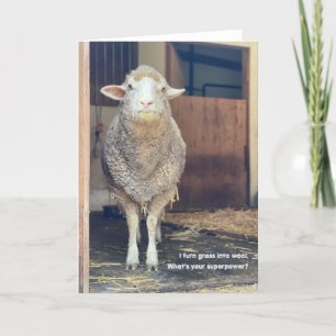 5"x7" Faltkarte Marshmallow Karte