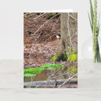 5"x7" Faltkarte | Shy Wood Duck Karte
