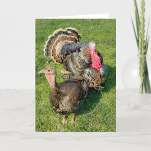 5"x7" Faltkarte   Thomas & Henrietta Karte