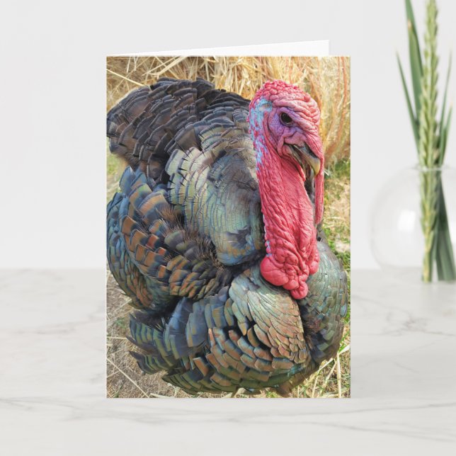 5"x7" Faltkarte | Thomas im Strohhalm Karte (Vorderseite)