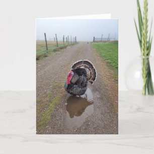 5"x7" Faltkarte   Türkei im Nebel Karte