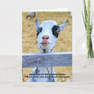 5"x7" Faltkarte   Ziege ohne Freunde Karte