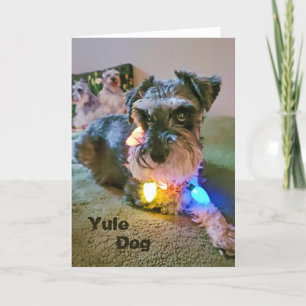 5"x7" gefaltete Karte    Yule Dog