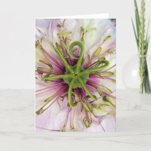 5"x7" Klappkarte Liebe-in-A-Mist Karte